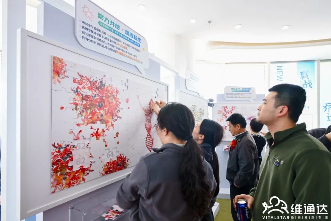 1(图20) 1(图20)