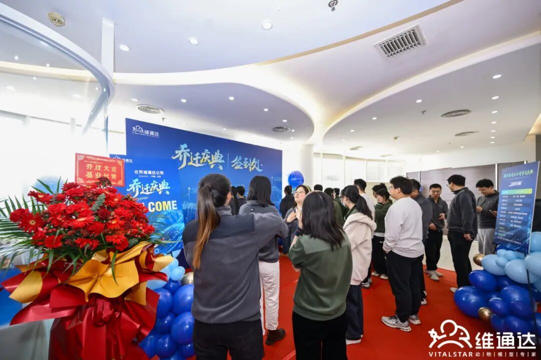1(图11) 1(图11)