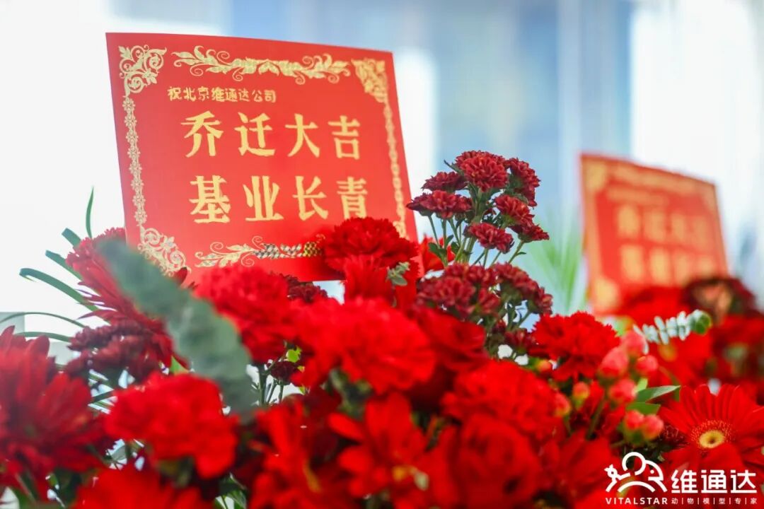 1(图16) 1(图16)