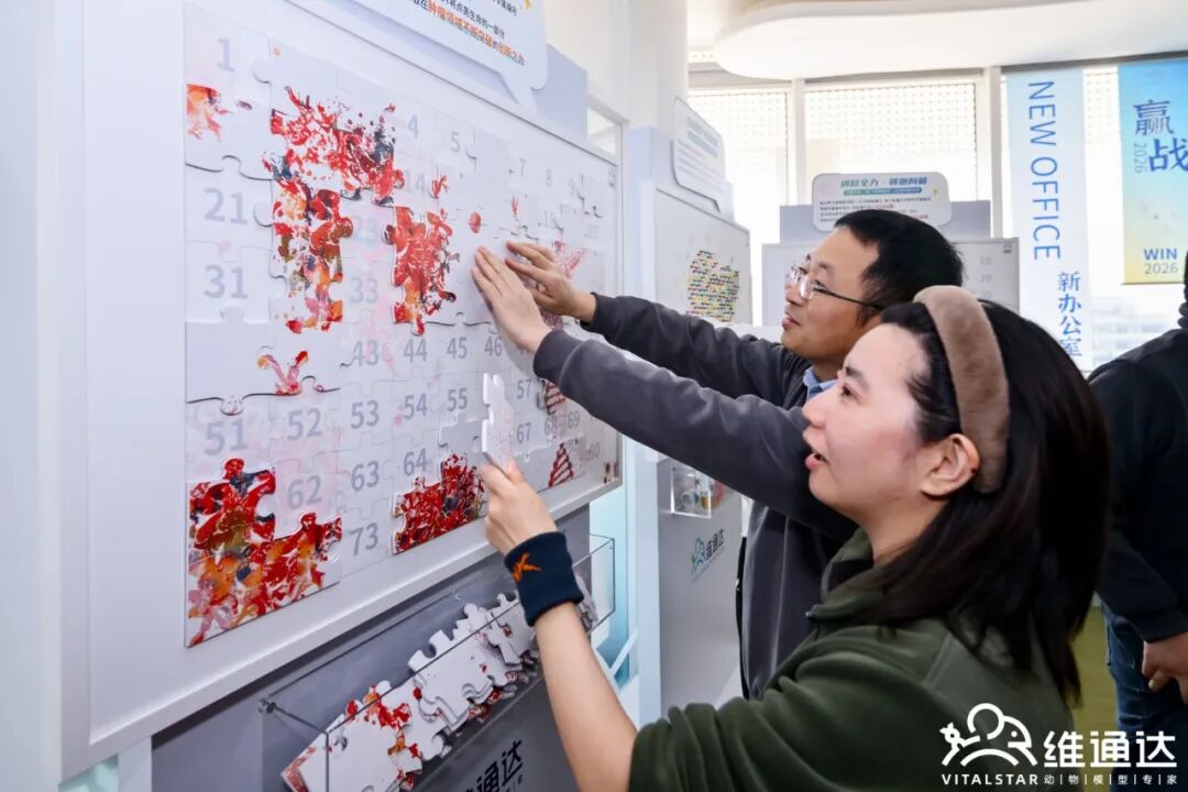 1(图19) 1(图19)